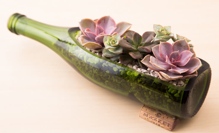 Elegant Succulent Wine Bottle Planter Gift