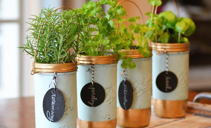 Painted Mason Jar Herb Garden Gift