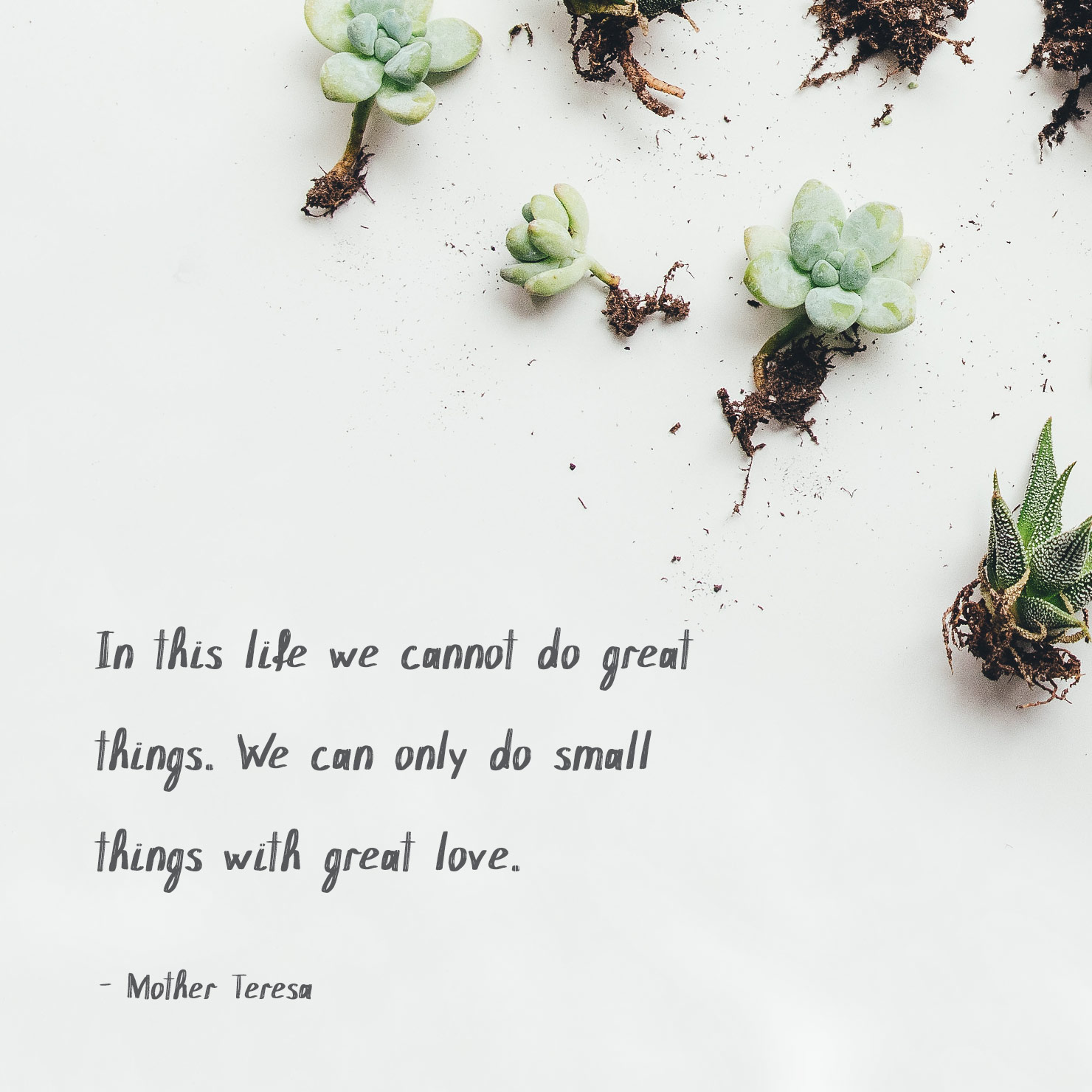 about life graduation quote: in this life we cannot do great things. we can only do small things with great love - Mother Teresa