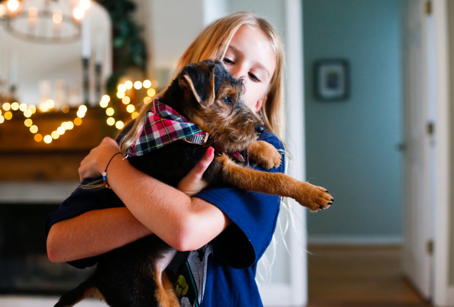 christmas photo ideas dog bandana.