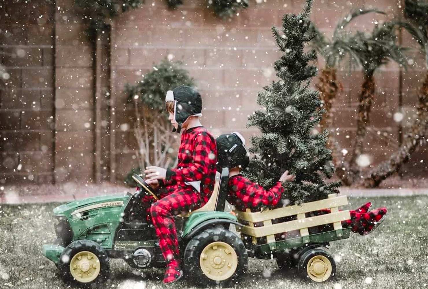 christmas photo ideas tree hauling.