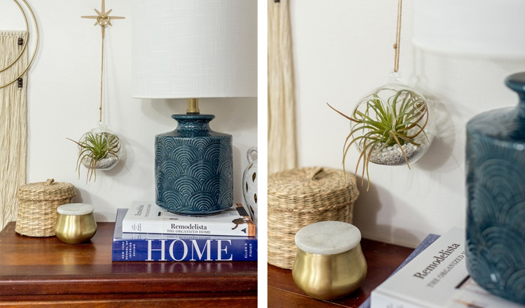 hanging air plant