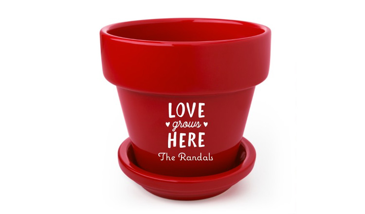 love grows here flower pot