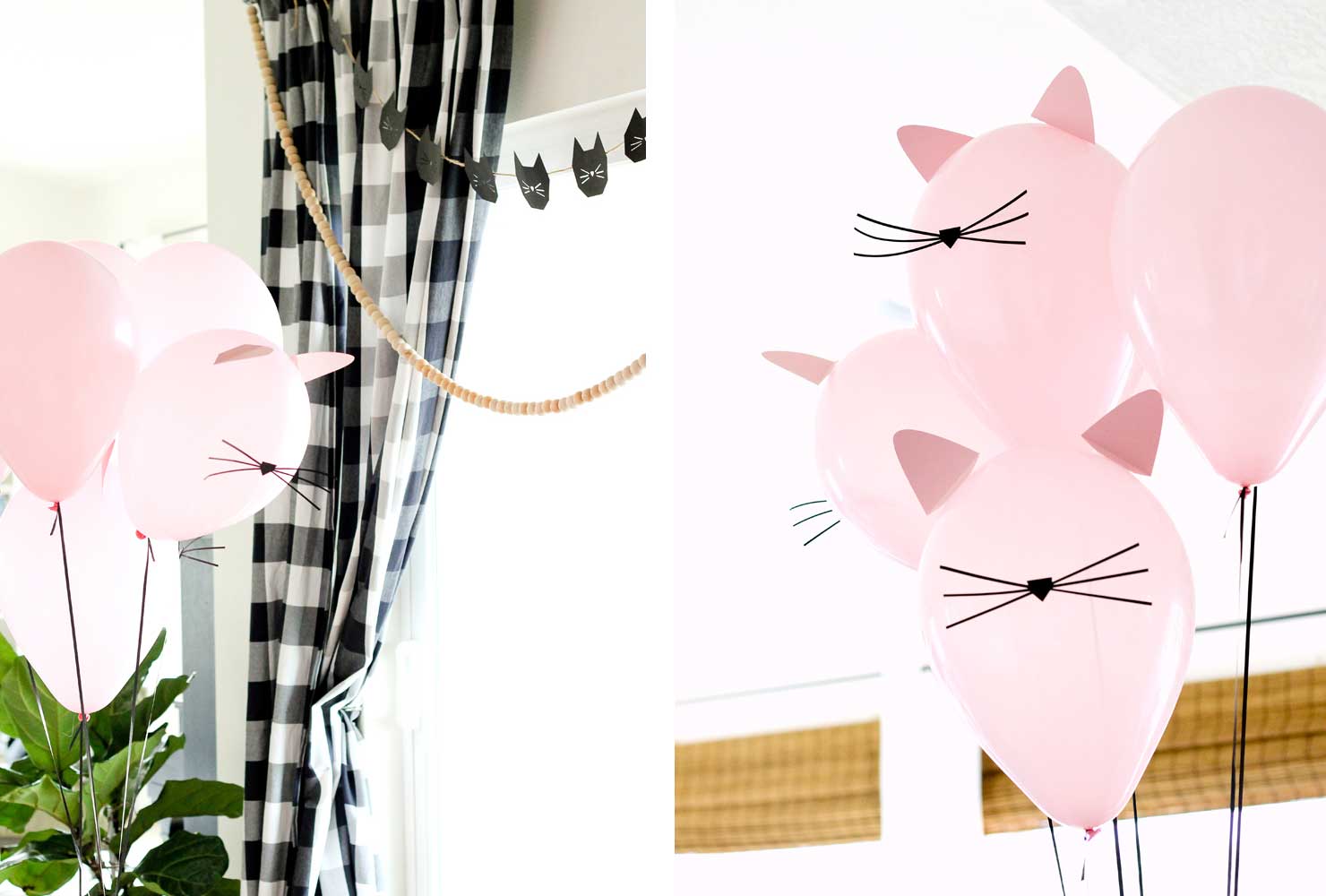 cat birthday party cat balloons