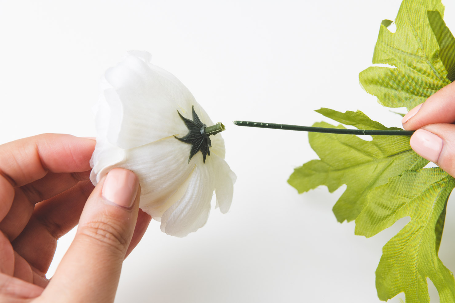 removing a flower from its stem
