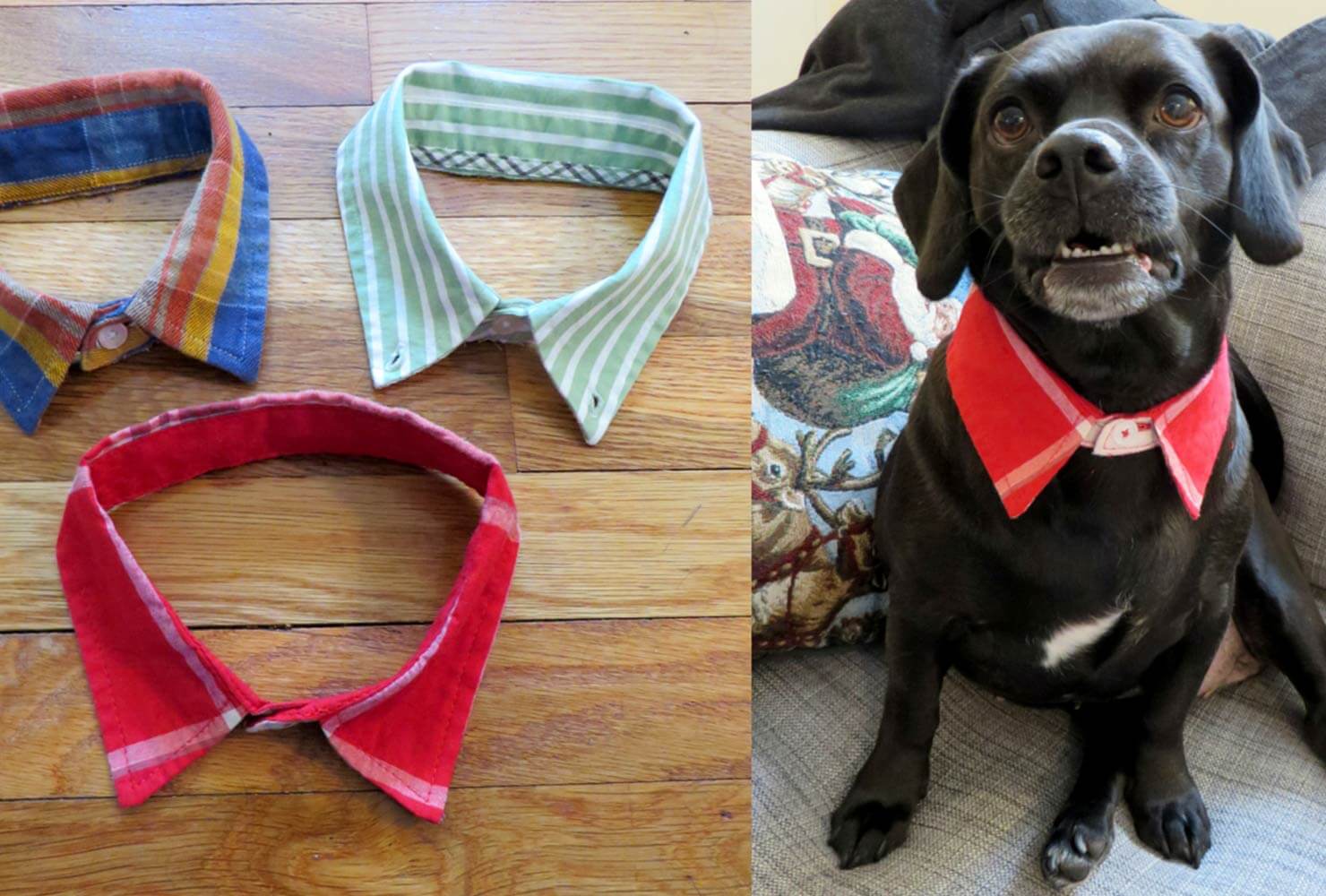 family gift ideas dog collar