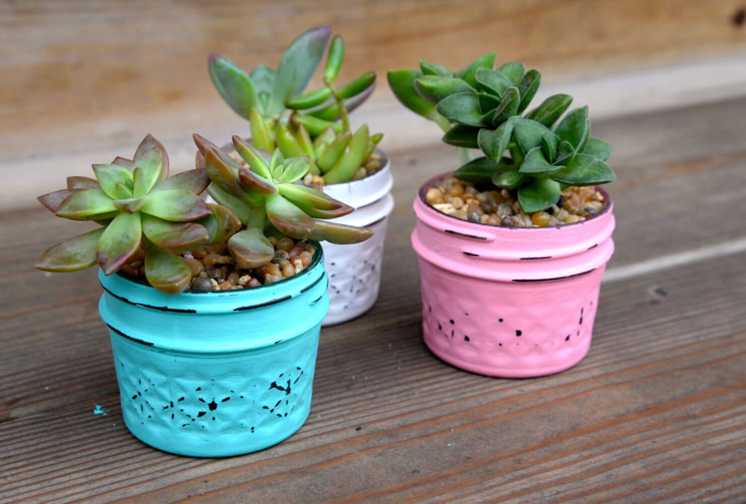 graduation centerpieces mason jar succulents