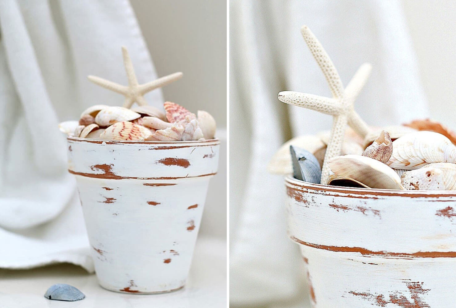 graduation centerpieces seahell pot