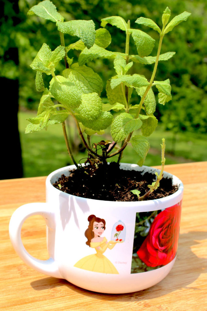 Flower pot painting ideas and flower pot supplies.