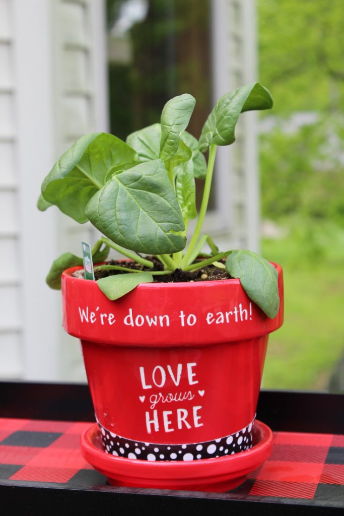 Flower pot painting ideas and flower pot decorations.