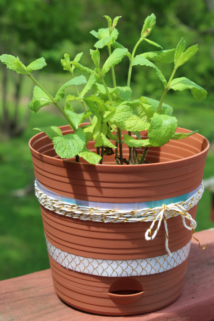 Flower pot painting ideas and flower pot decorations.