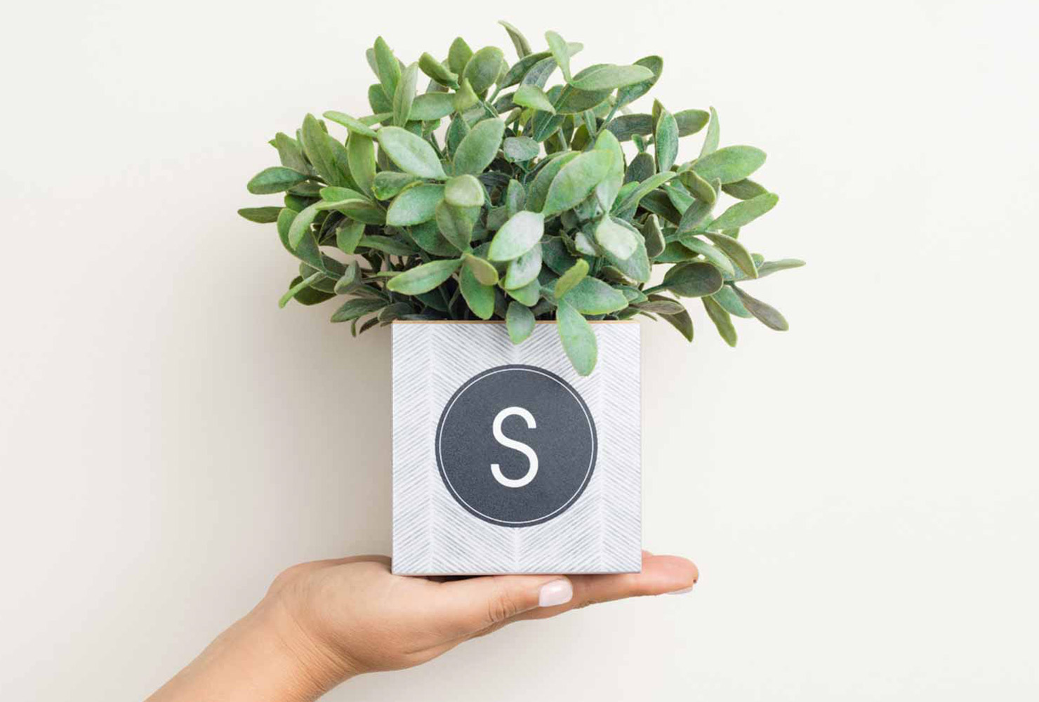 wedding place card ideas mini planters