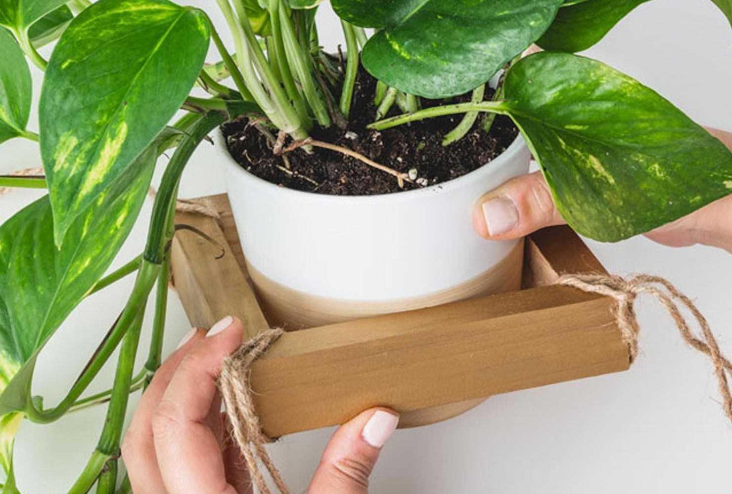 christmas gift ideas for boyfriend hanging planter.