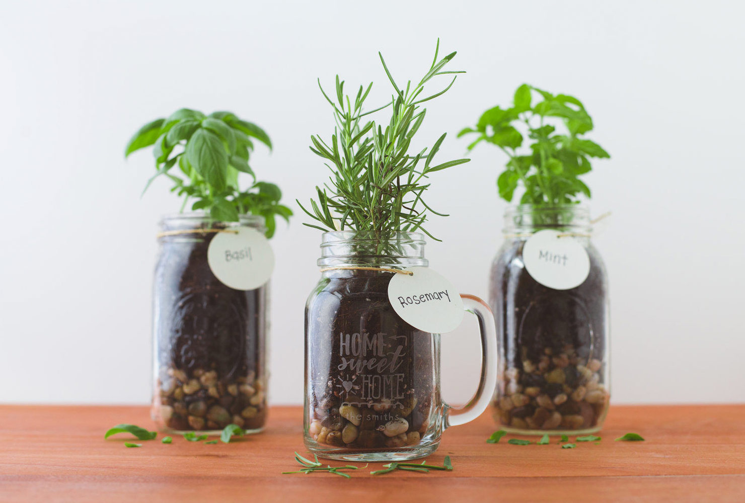 christmas gift ideas for boyfriend home herb garden.