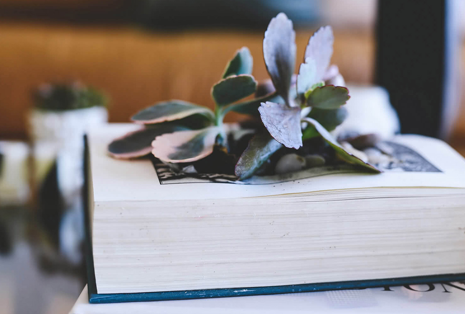 christmas gift ideas for boyfriend story garden.