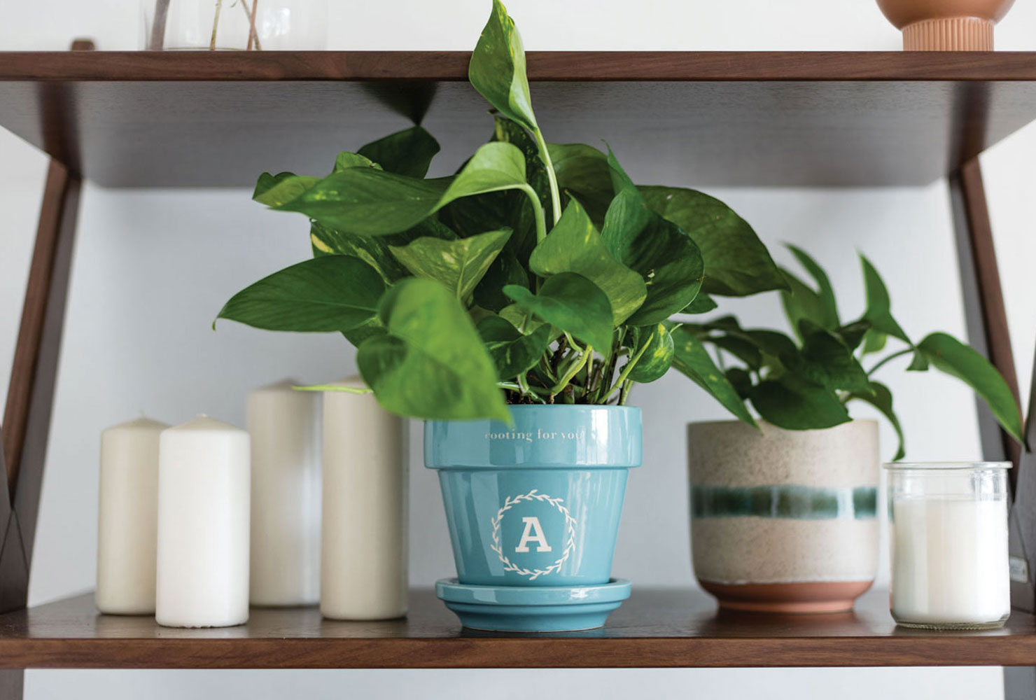 Blue monogrammed plant pot.