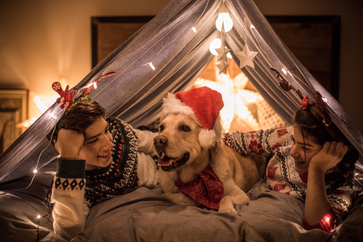 Brother and sister playing on bed with their dog in homemade tent . It's holiday evening and they having fun with they dog.