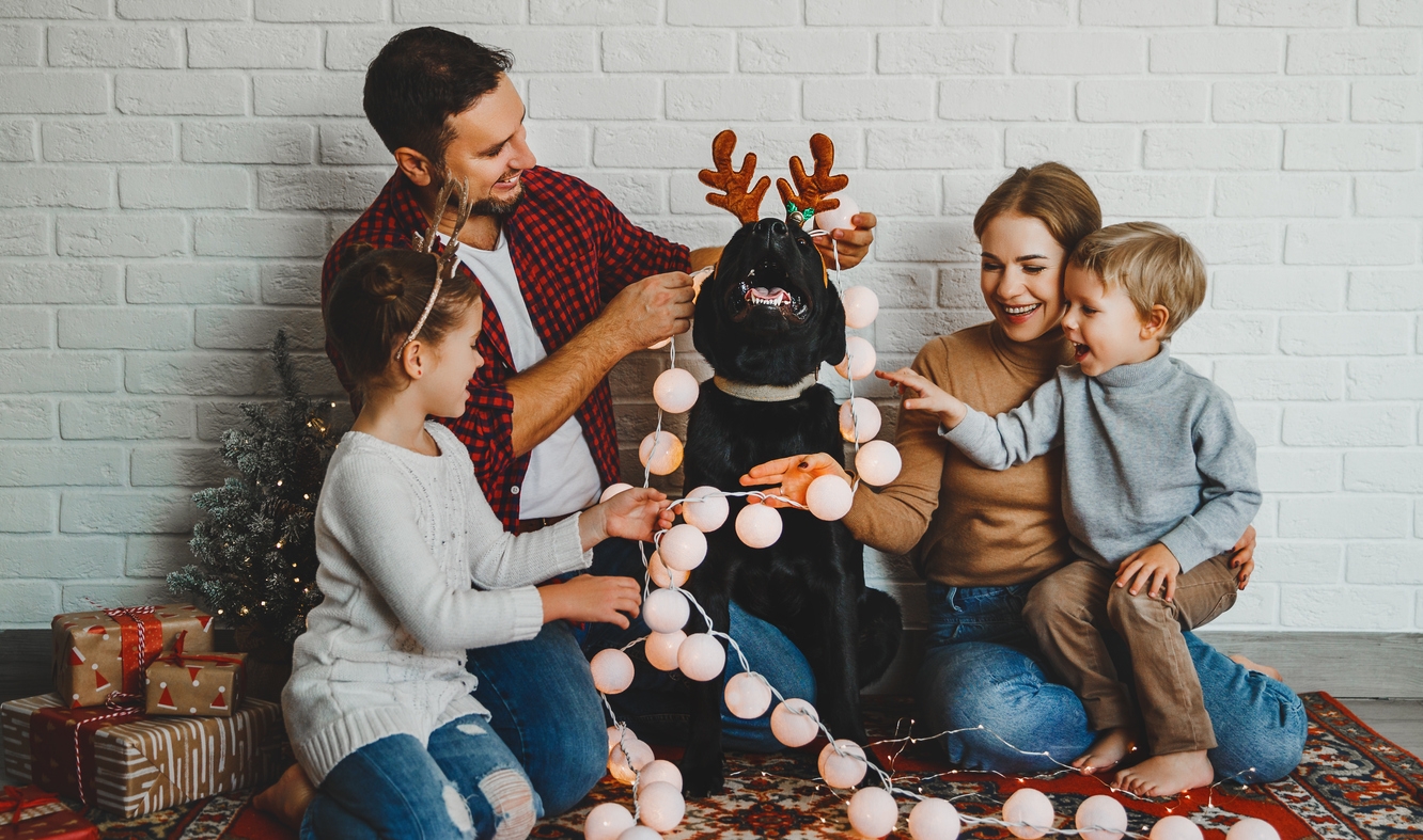 happy Christmas! family mother father and kids with dog before Christmas with garland gifts and tree