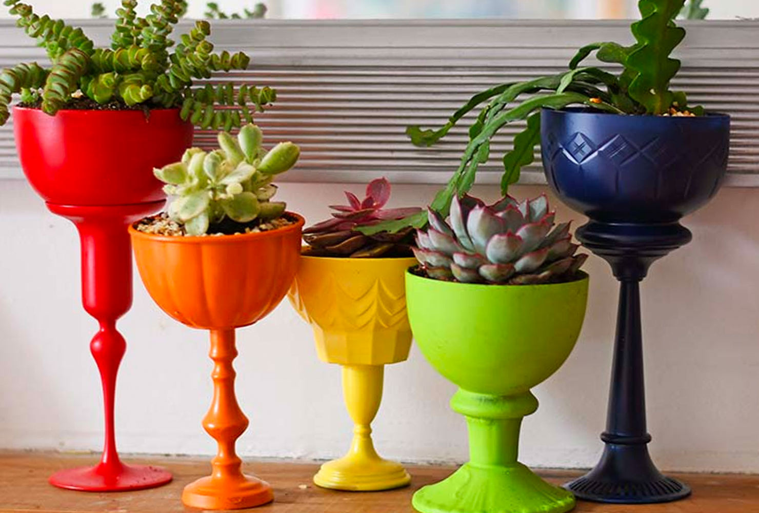 Plastic wine glasses with plants.