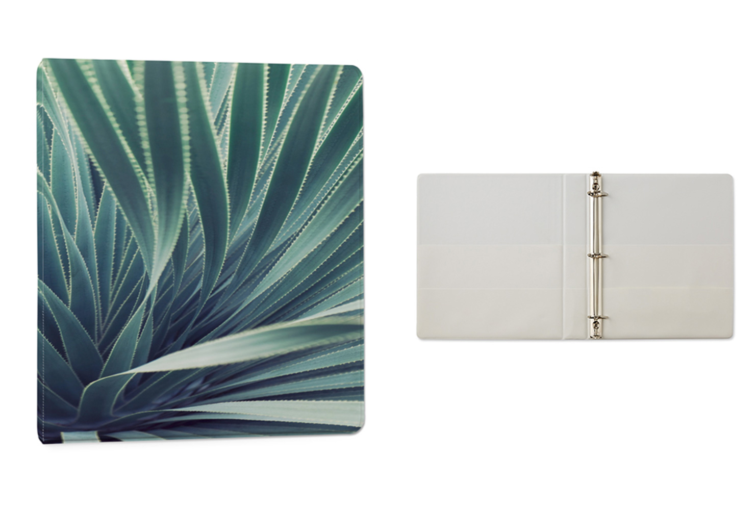 Plant binder.